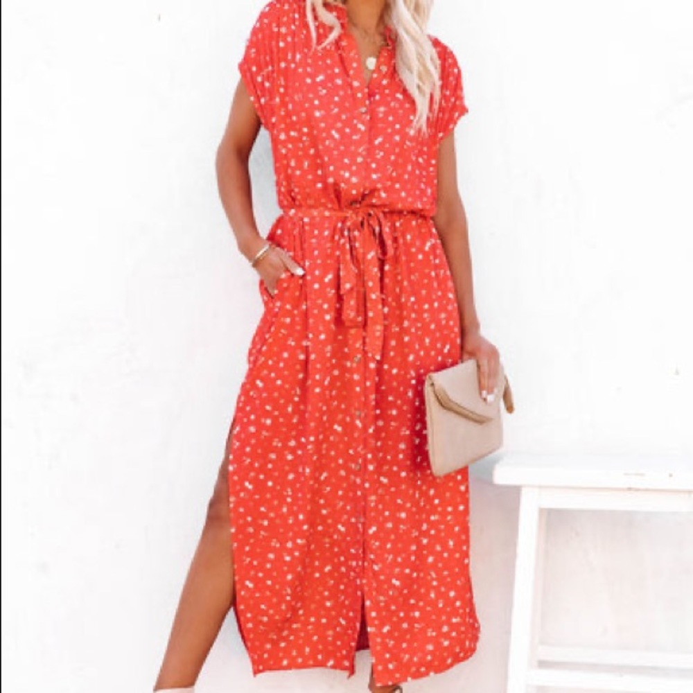 VICI Luiza Pocketed Floral Button Down Maxi Dress